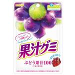 明治 果汁グミ ぶどう 54gx10 明治