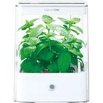 グリーンファームCube ユーイング