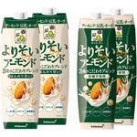 キッコーマン よりそいアーモンド1000ml 2種アソートセット キッコーマンソイフーズ