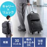 キャリングバッグ キャリータイプ リュック サンワダイレクト