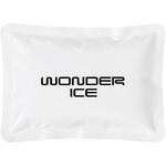 ワンダーアイス WONDER ICE 特殊低温保冷剤 500g ナガセテクノサービス