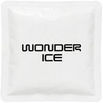 ワンダーアイス WONDER ICE 特殊低温保冷剤 300g ナガセテクノサービス