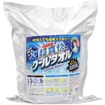 超爽快クールタオル 詰替用 本田洋行