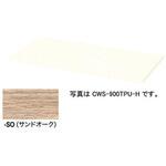 天板(両面・片面兼用) CWS ナイキ