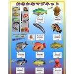 おさかなマグネット カワチ