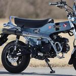 DAX-PS-02 PURESPORT カーボン DAX-PS-02 SP忠男