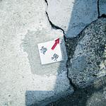 クリアーライン貼付式 5枚入 TRUSCO