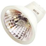 6V-15W XTS2021用 替えハロゲン球 新潟精機(SK)