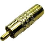 266-2216 RS PRO 同軸変換アダプタ F型 - RCA ジャック - プラグ RS PRO