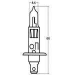ハロゲンランプ H1 24V STANLEY(スタンレー電気)