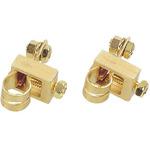 バッテリーターミナル エーモン