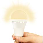 TAL-690-2 停電しても明るいLED電球 燈まもるくん 電球色 ティーエム