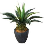 光触媒インテリアグリーン 観葉植物 エスエスケイ