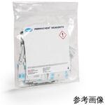 HACH0010 103769 第一鉄試薬 PP 25mL用 100包入 東亜DKK