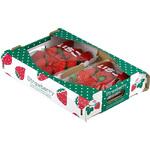 L-2506 ストロベリーボックス平250g ヤマニパッケージ