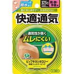 キネシオロジー快適通気 ピップ