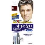 サロン・ド・プロ 無香料ヘアカラー メンズスピーディ(白髪用) ダリヤ
