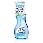 メガネのシャンプー 除菌EX アクアミントの香り SOFT99
