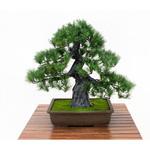 人工樹木/人工観葉植物 松盆栽 岩や