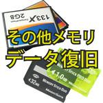 SB-DREC04A 【データ復旧サービス】 【定額】 その他 メモリ コンパクトフラッシュ メモリスティック  xDカード etc ロジテック