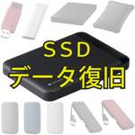 【データ復旧サービス】 【定額】 SSD 内臓SSD 外付SSD 1ドライブ搭載製品 ロジテック