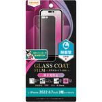RT-P39FT/P1 iPhone 14 Pro Max フィルム 10H ガラスC 衝撃吸収 180° 覗き見防止 レイ・アウト
