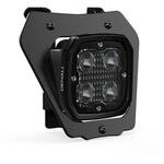 DENLAH.04.10900 D4 Headlight Kit DENALI