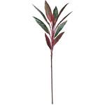 コルディリネブランチ MAGIQ(東京堂)