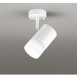 フルカラー調光・調色スポットライト ODELIC(オーデリック) 【通販