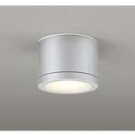 非常用照明器具・誘導灯器具 ODELIC(オーデリック) 誘導灯本体 【通販