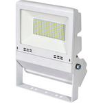 LJS-FH50D-W-50K-SAL フラットライト50W常設用白 重耐塩仕様 日動工業