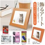 BR-ATT300 飾るアート 防災セット(アートポスター1枚付) ブレイン