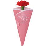MA1-0023M 母の日カーネーション(メッセージカード付) アルファ[販促]