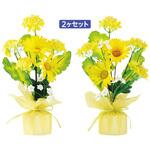 TE1-1383 菜の花ラッピングセット アルファ(販促)