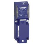 XS9C4A1PCP20 Telemecanique Sensors 近接センサ Rectangular 検出範囲 20 mm 洗浄 250Hz TELEMECANIQUE SENSORS