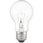 長寿命 クリア電球 オーム電機