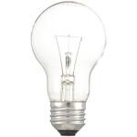 クリア電球 オーム電機