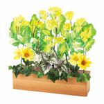 8784-7438 季節装飾(春の花)デラックス菜の花プランター(造花) ストア・エキスプレス