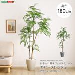 お手入れ簡単フェイクグリーン エバーフレッシュ Lサイズ(180cm) ホームテイスト