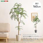 お手入れ簡単フェイクグリーン エバーフレッシュ Mサイズ(160cm) ホームテイスト