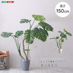 お手入れ簡単フェイクグリーン モンステラ Mサイズ(150cm) ホームテイスト