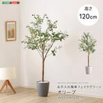 お手入れ簡単フェイクグリーン オリーブ Sサイズ(120cm) ホームテイスト