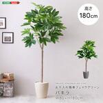 お手入れ簡単フェイクグリーン パキラ Lサイズ(180cm) ホームテイスト