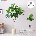 お手入れ簡単フェイクグリーン パキラ Sサイズ(120cm) ホームテイスト