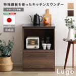 日本製 特殊鋼板を使ったキッチンカウンター【Lugo-ルゴ-】オープン収納 60cm ホームテイスト