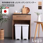 日本製 特殊鋼板を使ったキッチンカウンター【Lugo-ルゴ-】ゴミ箱上カウンター 60cm ホームテイスト