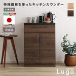 日本製 特殊鋼板を使ったキッチンカウンター【Lugo-ルゴ-】扉収納 60cm ホームテイスト