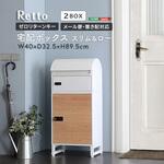 TBX-R1-WHMAP 宅配ボックス スリムロータイプ 2ボックス ホームテイスト