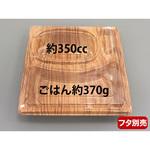 デリカランチDL-23-23 拓木 惣菜容器 本体 エフピコチューパ