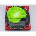 BF恵味 本体(N) シーピー化成